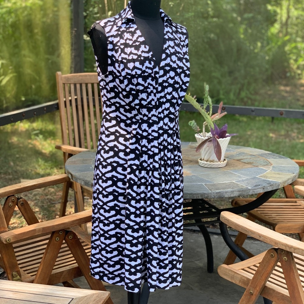 Beautiful Premise Dress